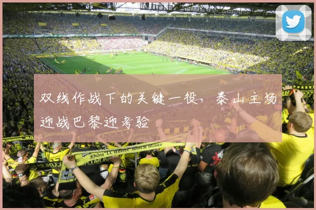 双线作战下的关键一役，泰山主场迎战巴黎迎考验