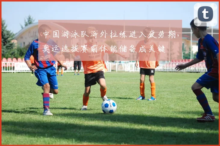 中国游泳队海外拉练进入疲劳期，奥运选拔赛前体能储备成关键
