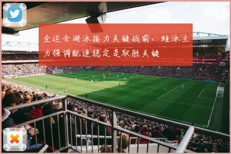 全运会游泳接力关键战前，蛙泳主力强调配速稳定是取胜关键