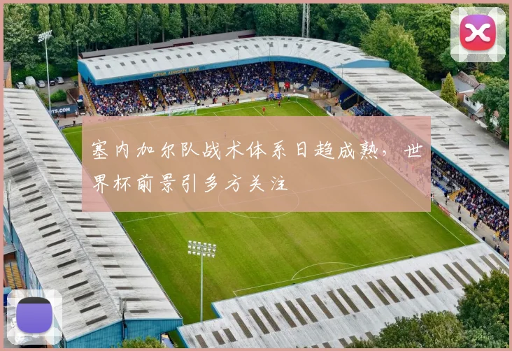 塞内加尔队战术体系日趋成熟，世界杯前景引多方关注