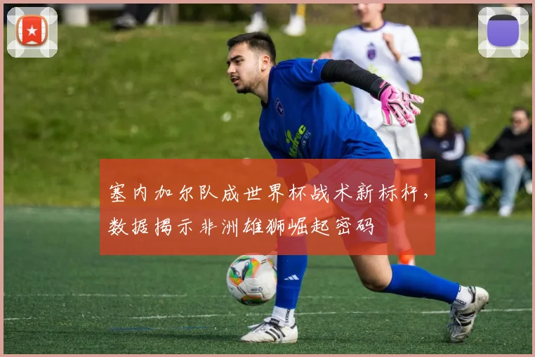 塞内加尔队成世界杯战术新标杆，数据揭示非洲雄狮崛起密码